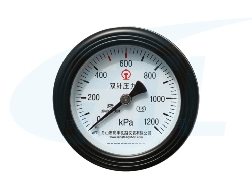 YCS100-III double needle pressure gauge