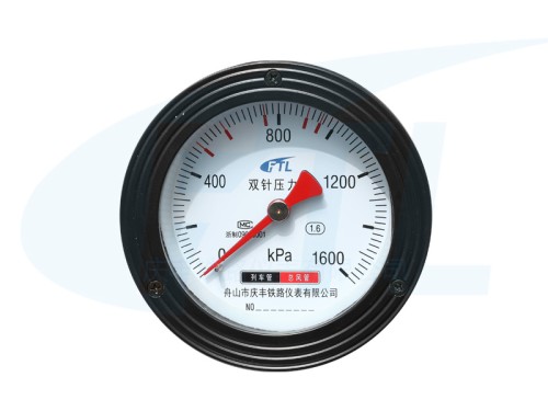 YS-100Z Double needle pressure gauge -1600KPa