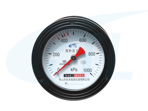 YS-100Z Double needle pressure gauge -1000KPa