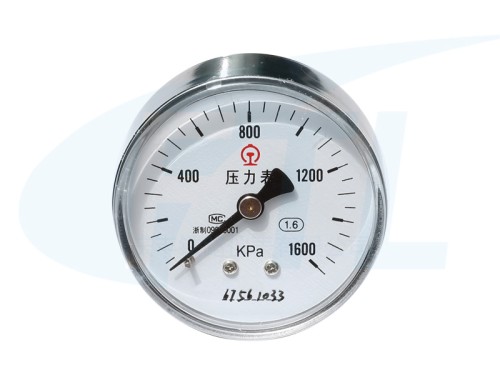 Y60-AZ pressure gauge