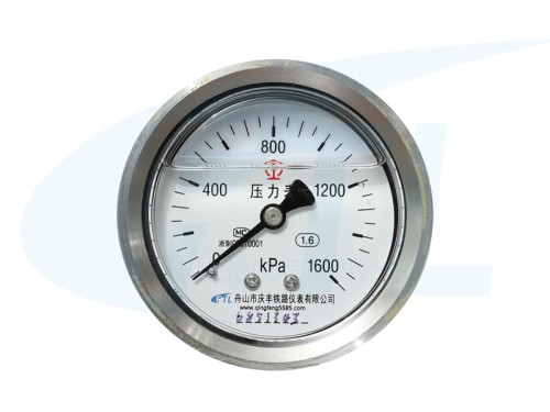 YN60Z shock-proof pressure gauge