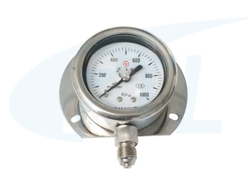 YN60T shock-proof pressure gauge
