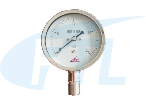 YE100 diaphragm pressure gauge