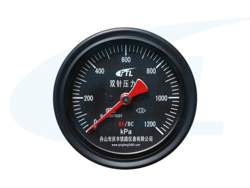 YCS100-IV Double needle pressure gauge MR/BC