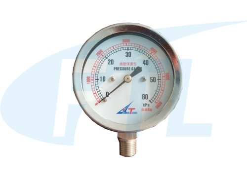 Ye65 diaphragm box pressure gauge