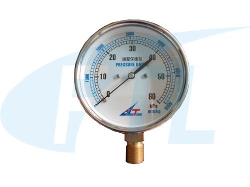 YE75 diaphragm pressure gauge