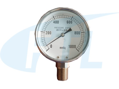 YE65 Diaphragm Pressure gauge - Formal