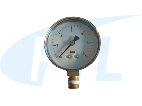 Y60 Pressure gauge (radial)