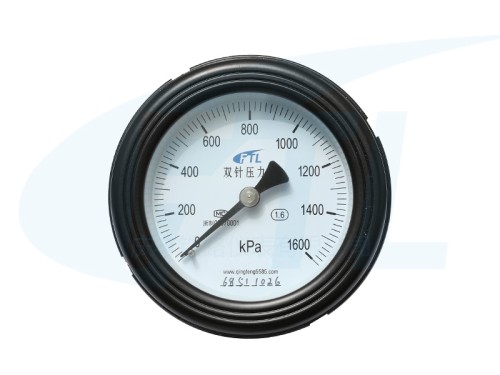 YYS-100Z double needle pressure gauge