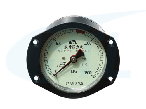 YZS-80A double needle pressure gauge