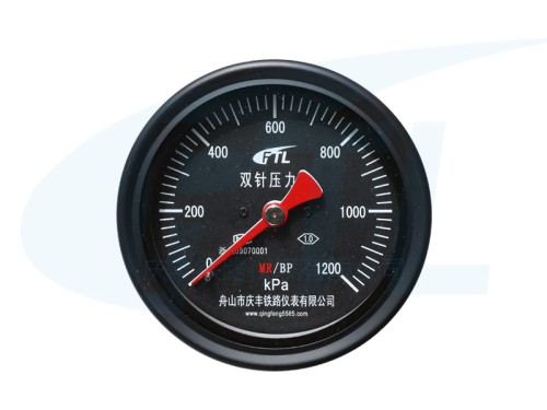 YCS100-IV double needle pressure gauge MR/BP