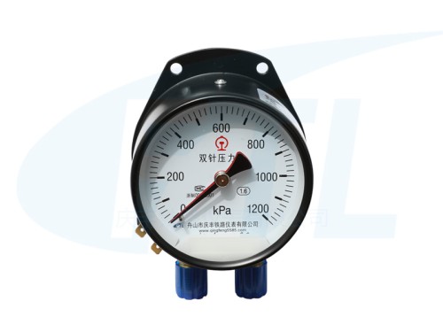 YCS100-II double needle pressure gauge