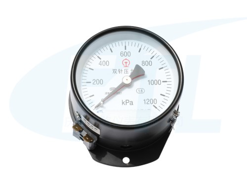 YYS-JY-100Z double needle pressure gauge